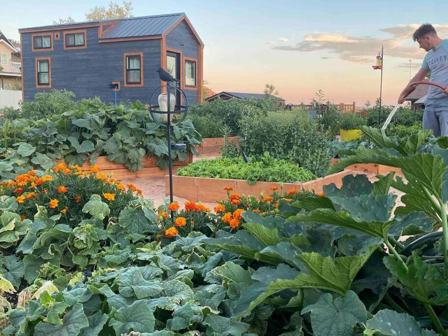 Atlantis Garden Tiny Home Hildale Екстер'єр фото
