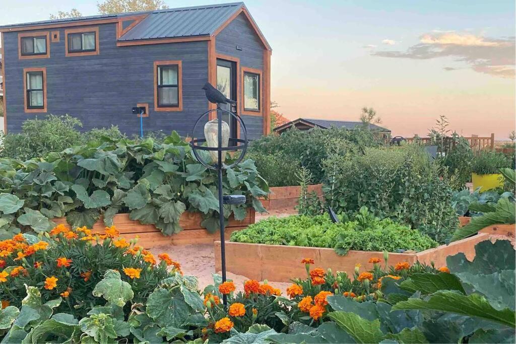 Atlantis Garden Tiny Home Hildale Екстер'єр фото