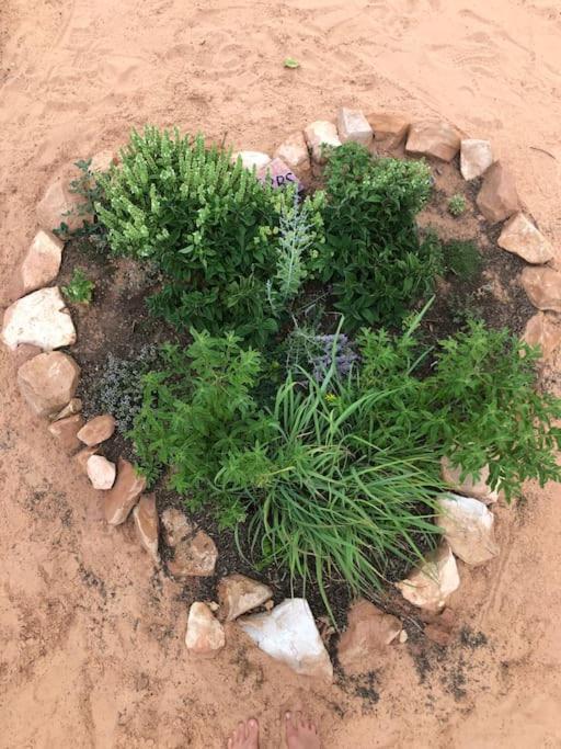 Atlantis Garden Tiny Home Hildale Екстер'єр фото